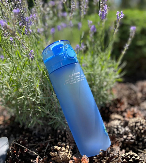 Пляшка для води CASNO 650 мл KXN-1157 Блакитна Каменское - изображение 2