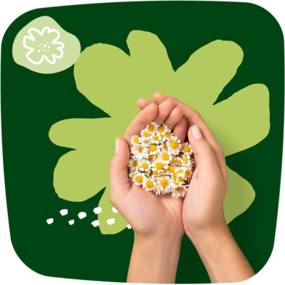 Гигиенические прокладки Naturella Classic Night 7 шт (4015400437543) Винница - изображение 7