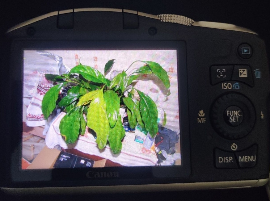 Canon PowerShot SX 130 Silver Фотоаппарат фотокамера. Киев - изображение 4