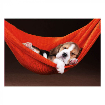 Пазл Educa Сон в гамаке 500 элементов (6425278) Винница - изображение 2