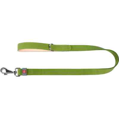 Поводок для собак WAUDOG Classic кожаный Ш 25 мм Д 122 см салатовый (08155) Винница