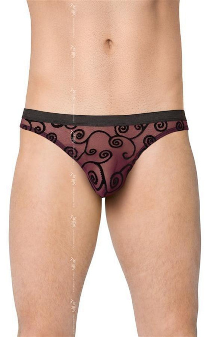 Чоловічі трусики - Mens Briefs 4522, black - XL Sex Aura Київ - фото 1