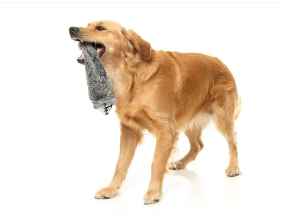 М'яка іграшка для собак FuzzYard Єнотик Луцк - изображение 4