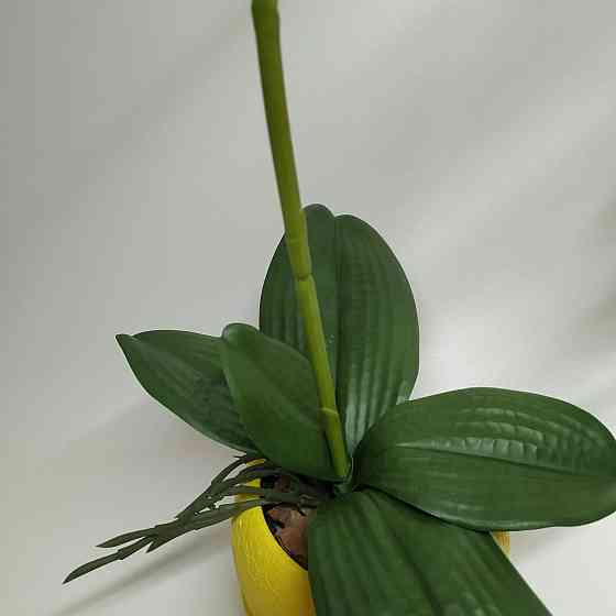 Штучна латексна орхідея VIP у жовтому керамічному кашпо на одну гілку жовта Дніпро
