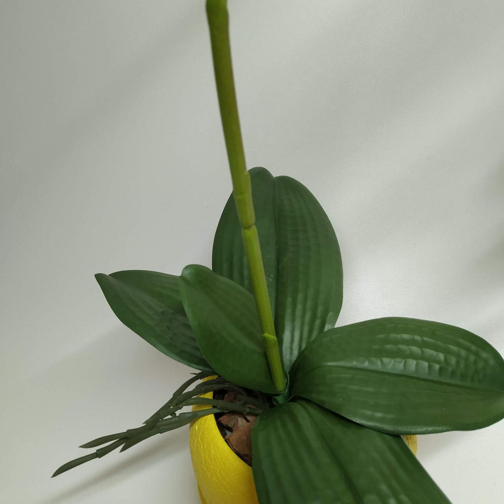 Штучна латексна орхідея VIP у жовтому керамічному кашпо на одну гілку жовта Дніпро - фото 5