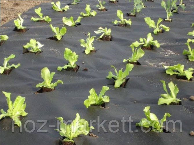 Агроволокно чорне 60 г/м2 3.2 м х 100 м Харків - фото 4