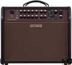 Комбіпісилювач Boss Acoustic Singer Pro Київ