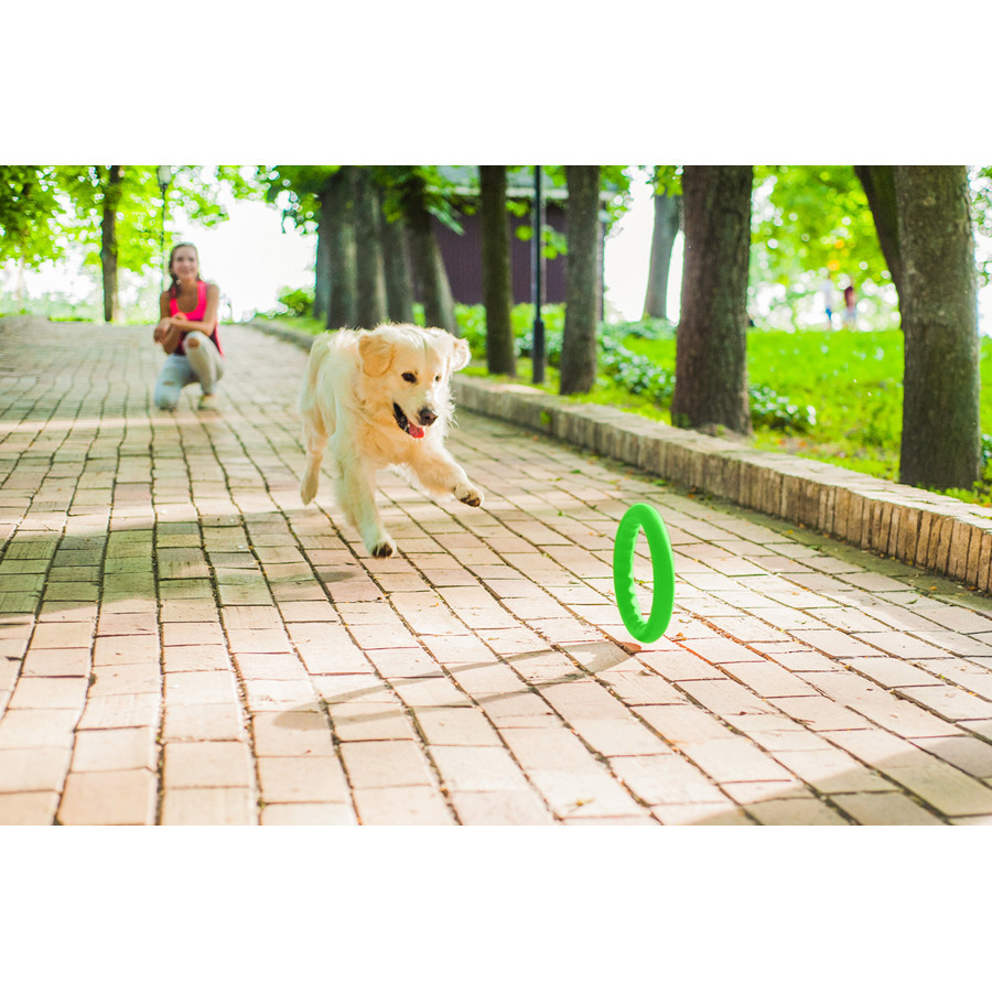 Кільце для апортування PitchDog20, діаметр 20 см салатовий Київ - фото 4