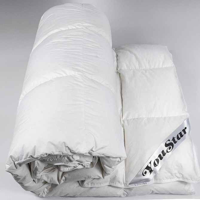 Эксклюзивное пуховое Полуторное одеяло премиум качества YouStar 100% гусиный пух, Батист, размер 145х205 см (Белый) Сумы - изображение 3