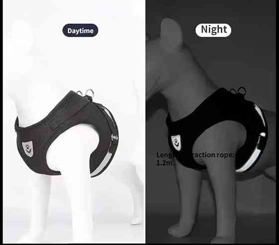 Светоотражающая шлея для собачек и кошек с поводком тканевая в сеточку S черный Киев