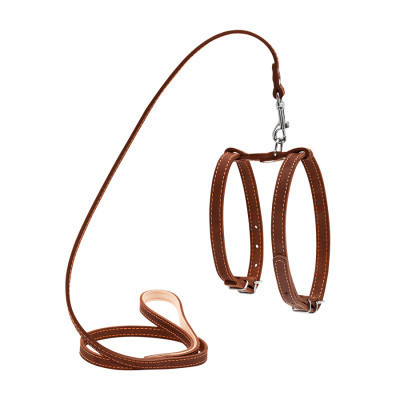 Шлея для собак Collar з повідцем для малих порід Ш 14 мм Д 122 см коричнева (05476) Вінниця - фото 1