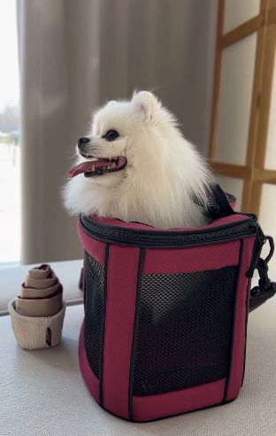 Сумка-переноска для котів і собак Happy Peppy (Хеппі Пеппі) Luna Bag Овал Запоріжжя - фото 5