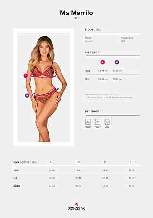 Комплект Obsessive Ms Merrilo 2-pcs set M/L Sex Aura Київ
