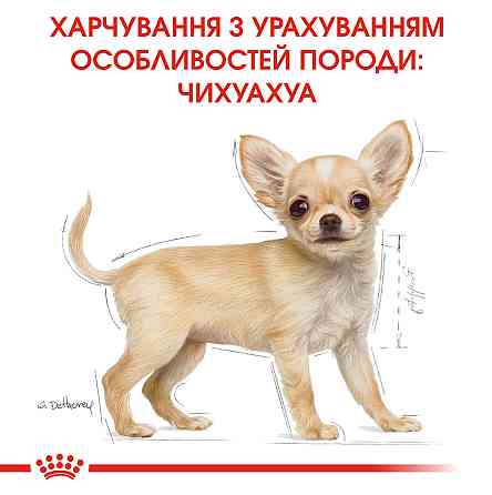 Корм для цуценят породи Чихуахуа ROYAL CANIN CHIHUAHUA PUPPY 0.5 кг Київ