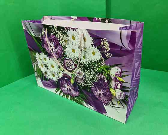 Гіганти горизонтальні 46*33*15 (артGG-005) (12 шт.) Харків