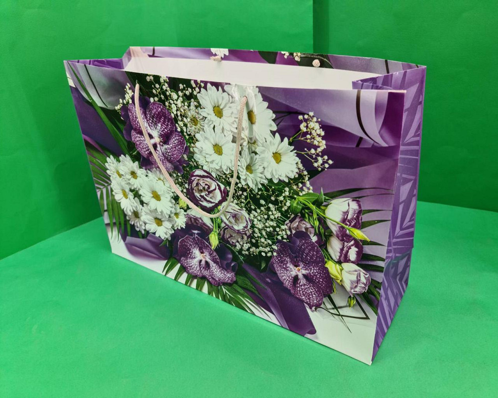 Гіганти горизонтальні 46*33*15 (артGG-005) (12 шт.) Харків - фото 1