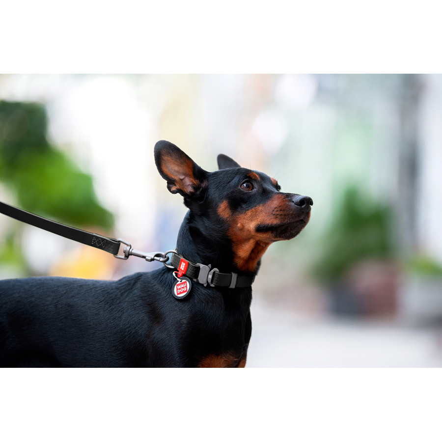 Нашийник для собак водостійкий WAUDOG Waterproof c QR паспортом, металічна пряжка-фастекс, Ш 25 Коломия - фото 3