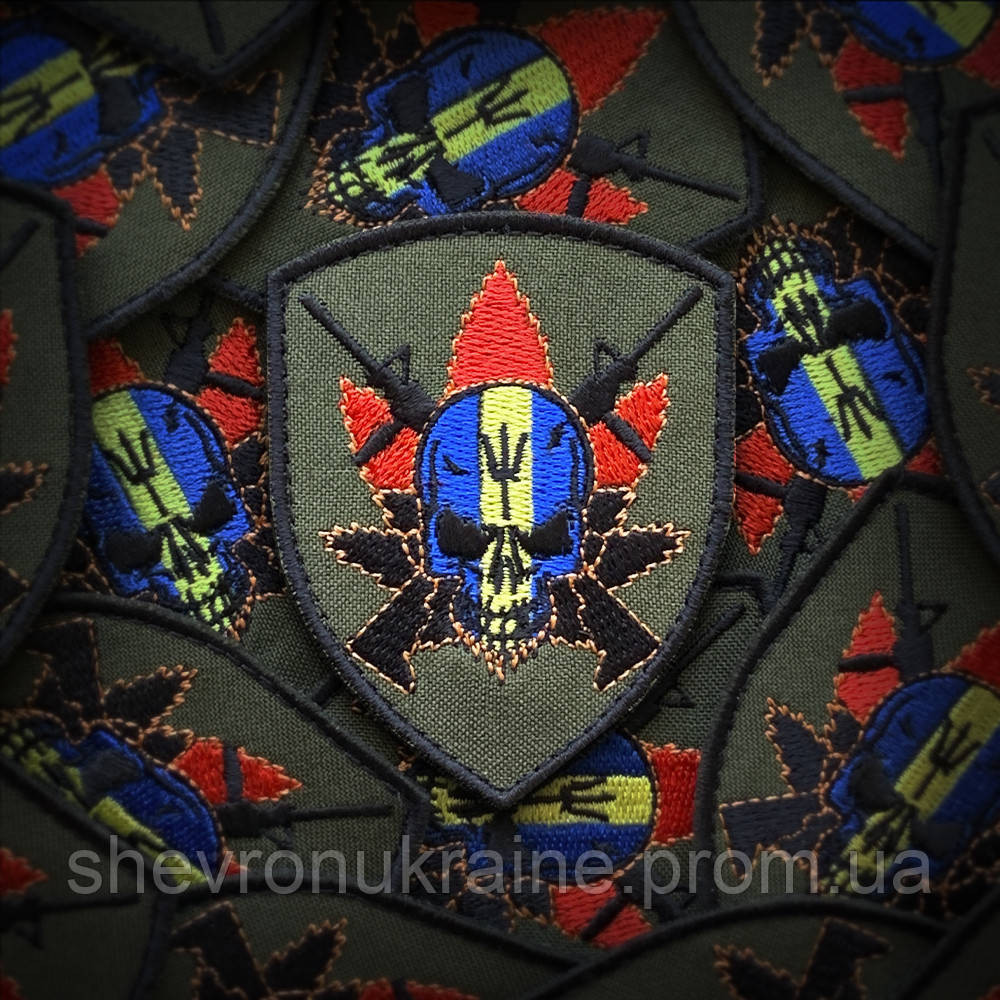 Шеврон Черепок (Форма щит. На липучці) Розмір 8x6см Київ - фото 1
