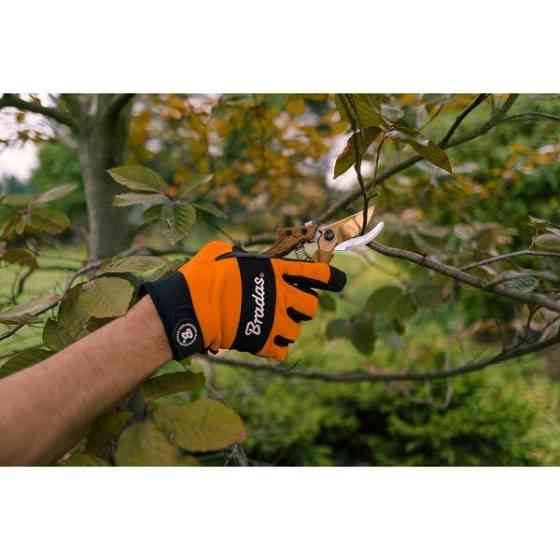 Секатор для обрезки ветвей, WOOD, сталь SK5, V-SERIES-D, KT-V1036 Киев