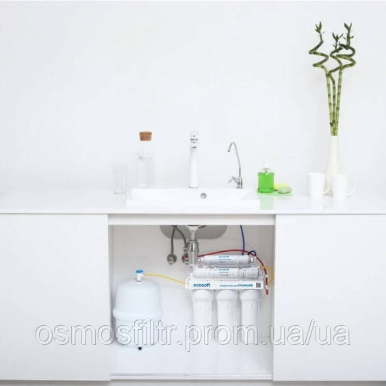 Фильтр обратного осмоса Ecosoft Standard с минерализатором (MO650MECOSTD) Киев - изображение 3