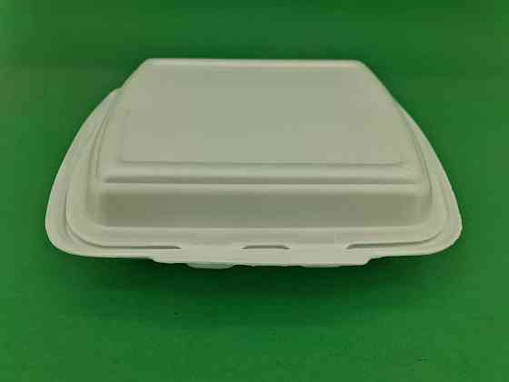 Ланчбокс зі спіненого полістиролу з кришкою (250*210*70) білий HP-2 (125 шт.) Харків