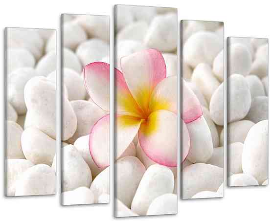 Модульна картина Квітка Art-295_5 ( 80х118см ) Київ