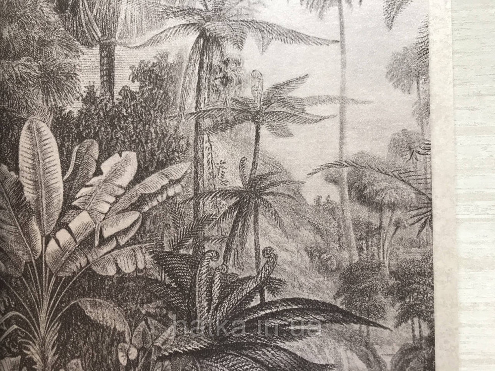 Шпалери флізелінові еко Rasch Kerala 0.53х10 м пальми листя екзотичні рослини сіро-чорний з рожевим Київ - фото 4