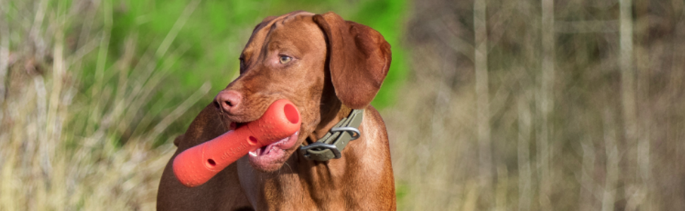 Іграшка для собак міцна гантель із карабіном Dexas Off-Leash (Дексас Оф Ліш) Запоріжжя - фото 7