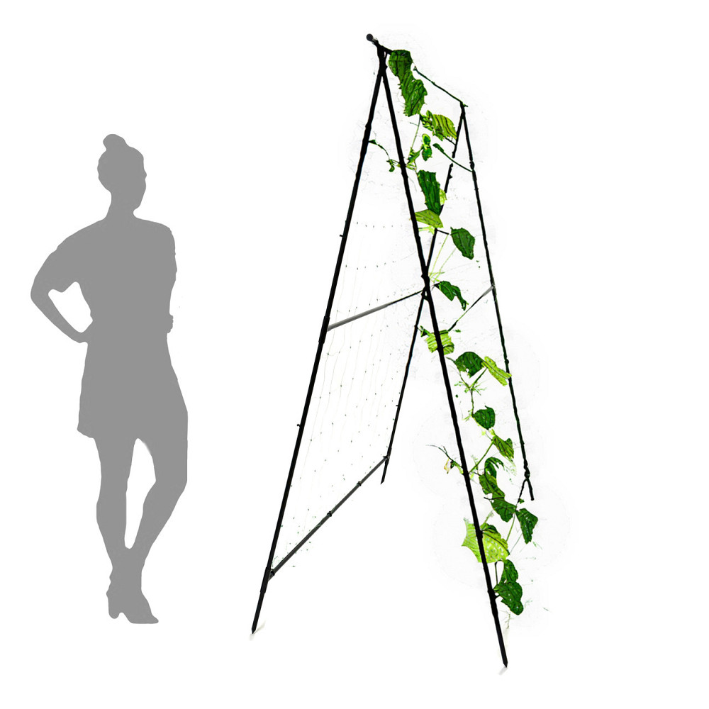 Подвійна А-подібна шпалера для огірків Chipo Lina X3 висота 2 м + Сітка для огірків Борисполь - изображение 1