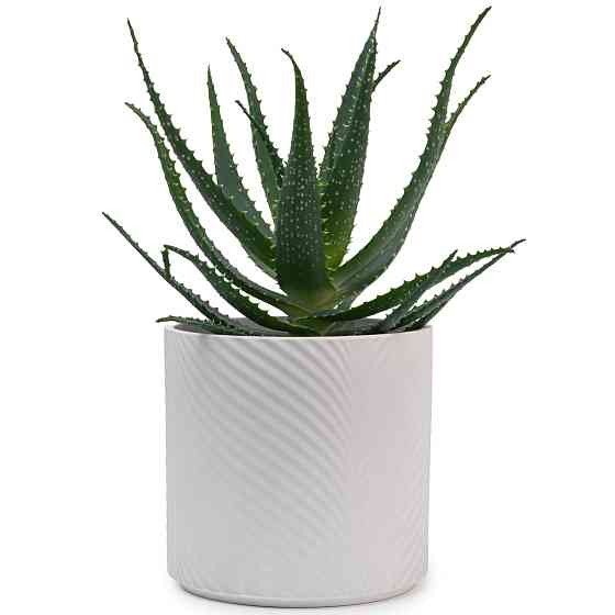 elemi Кашпо для квітів керамічне elemi "Листок" (білий) 19" круглий 4,5 л Коломыя