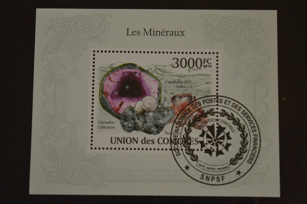 Коморы. Марки. Фауна. Блок. 2010 год (В-5) Полтава - изображение 1