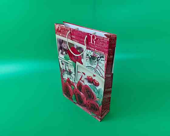 Большой бумажный пакет вертикальный  25/37/8(артBV-064) (12 шт) Харьков