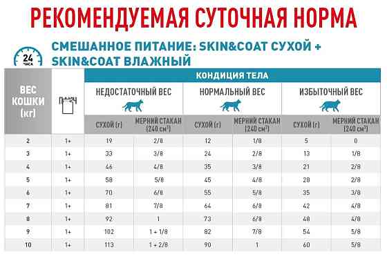 Royal Canin Skin & Coat (Рояв Канін Скін енд Коат) вологий корм для котів під час дерматозу і випадання вовни 0,085 кг. Запоріжжя