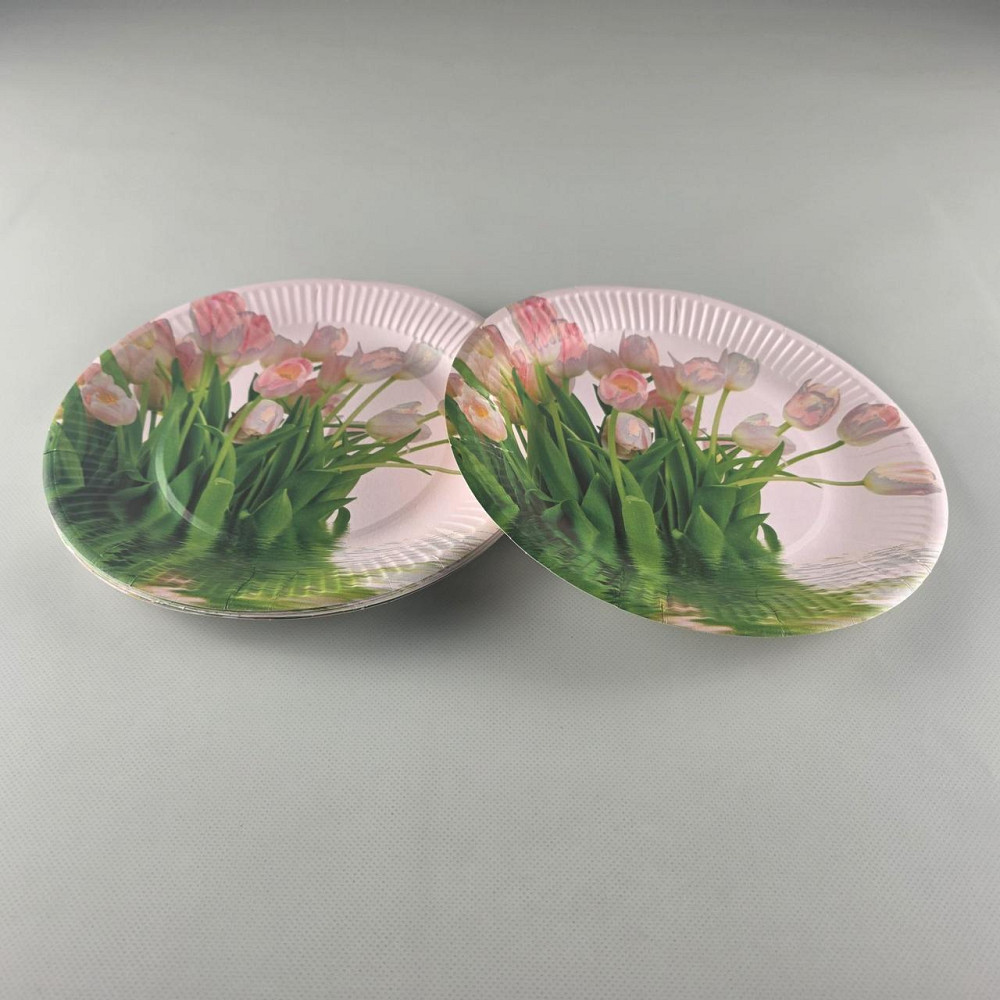 Тарелка бумажная 23см