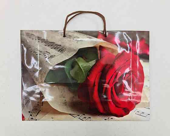 Паперовий великий горизонтальний пакет 36/22/10 (артBG-095) (12 шт.) Харків