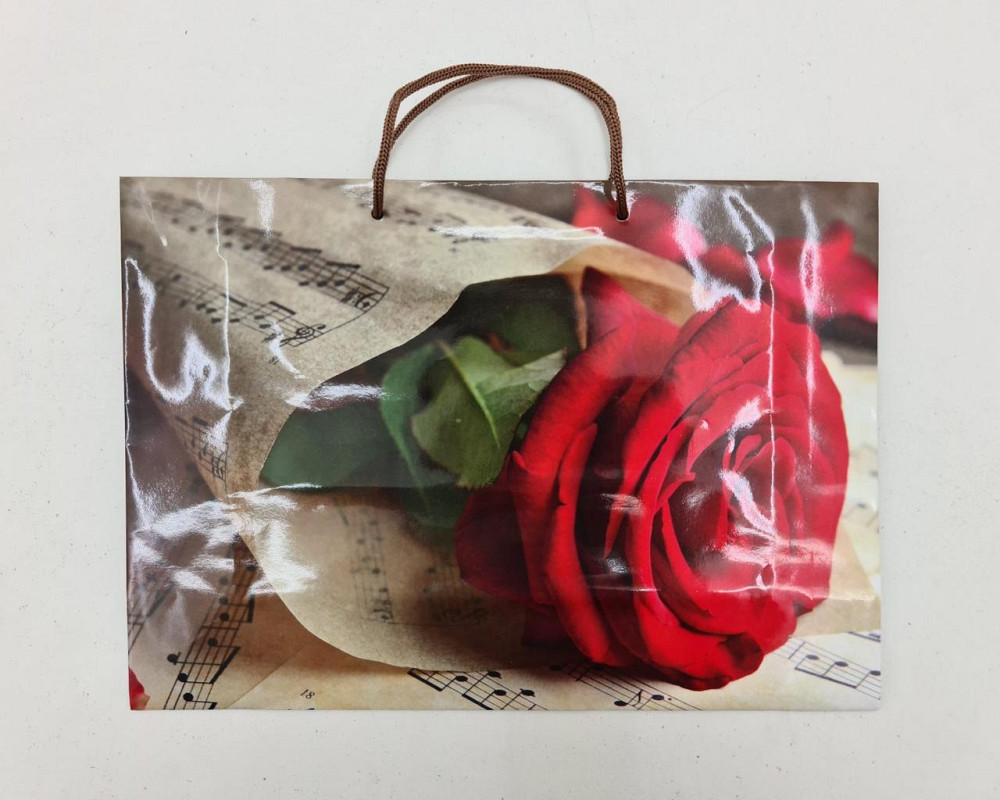 Паперовий великий горизонтальний пакет 36/22/10 (артBG-095) (12 шт.) Харків - фото 3