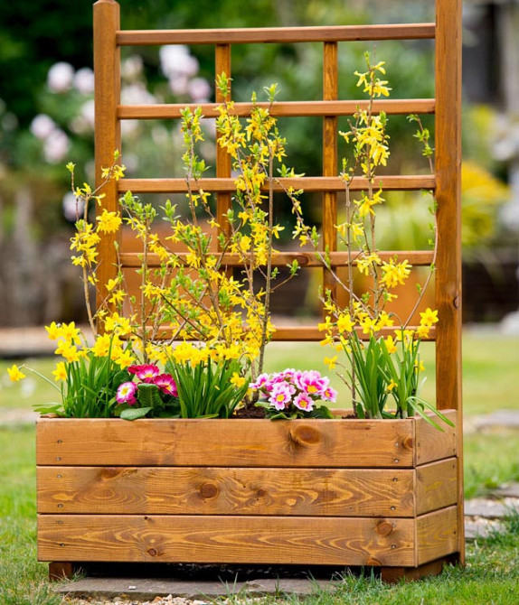 Кашпо зі шпалерою "Шонгар" мускат Миколаїв - фото 1