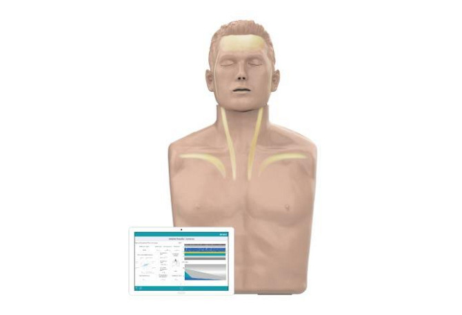 Инновационный манекен для обучения СЛР и AED с визуализацией кровотока Amoul Днепр - изображение 1