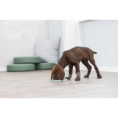 Посуд для собак Trixie Миска «Junior» для повільного годування 15 см (м'ятний) (4011905349541) Вінниця - фото 6