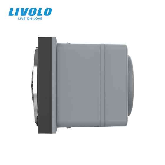 LIVOLO Механізм Bluetooth колонка Livolo чорний (VL-FCF-2BP) Коломыя