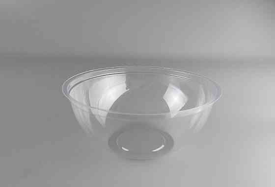 Упаковка блістерна контейнер SL510P (V550 мл) (50 шт.) Харків