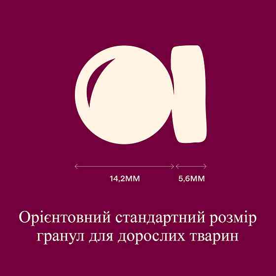 Корм сухий Carnilove Active Lamb & Wild Boar для собак ягня і дикий кабан 1,5 кг Київ