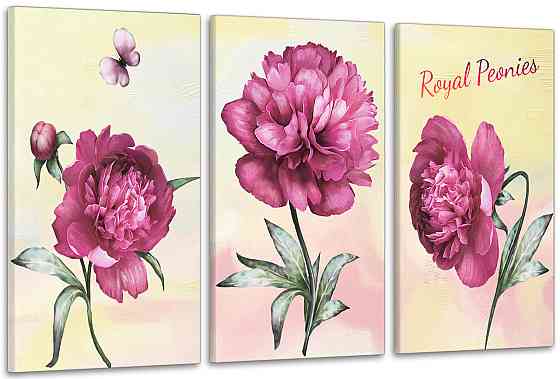 Модульная картина в гостиную / спальню Піони   ART-079_3A Киев