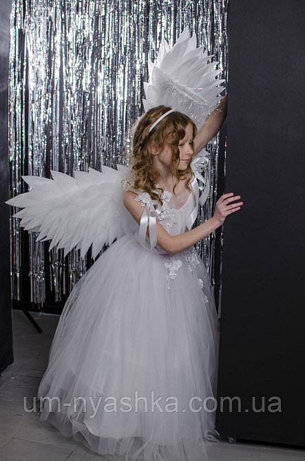 Крылья Ангела большие поднятые Кривой Рог - изображение 8