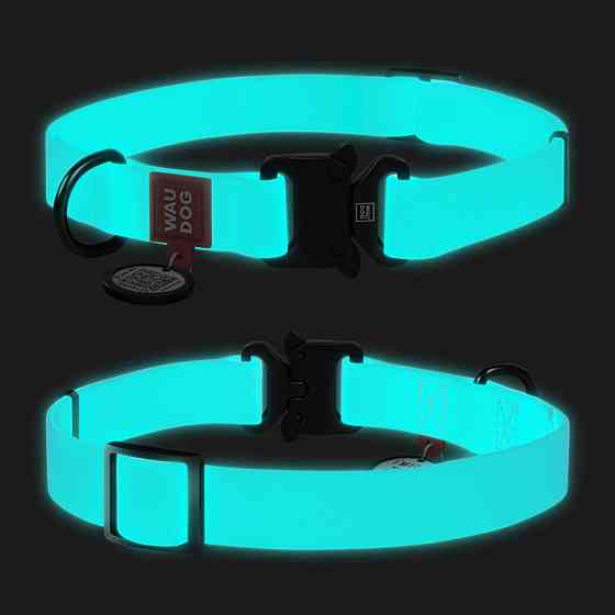 Нашийник для собак водостійкий WAUDOG Waterproof з QR паспортом, світонакоплювальний, металева пряжка-фастекс, Ш 25 мм, Дов 38-58 см Київ