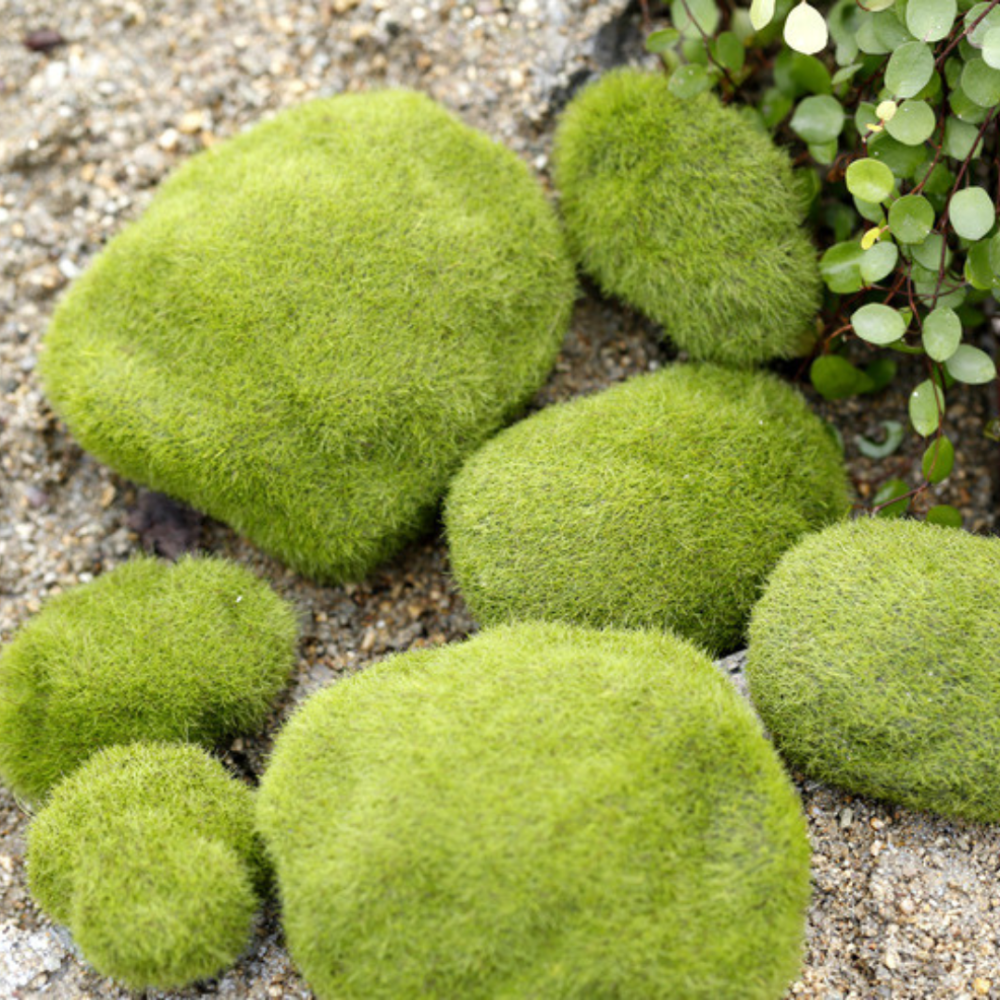 Искусственный мох на камнях для флорариума, мини-сада, вазона, моссариума, рокария, микроландшафта, диорам Одесса - изображение 3