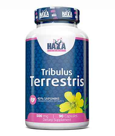 Трибулус терестріс Haya Labs Tribulus Terrestris 500 mg 90 caps Луцьк