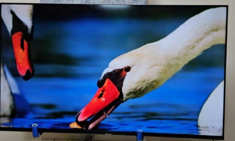 Телевизор: 65