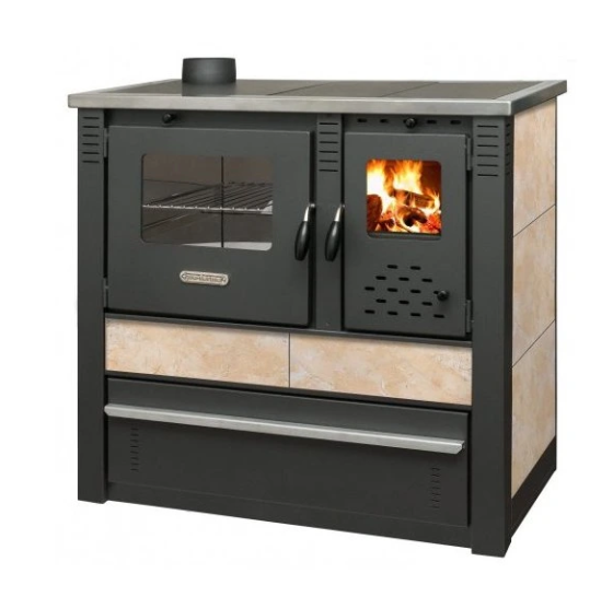 Піч-кухня на дровах Pro-Thermo Panonia бежева з духовкою та варильною поверхнею 10 кВт до 80 м2 опалювально-варильна піч Сербія Київ