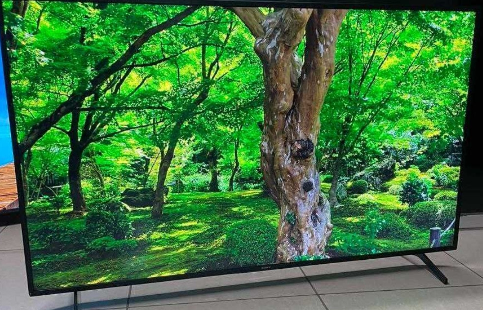 Телевизор Безрамный: 65